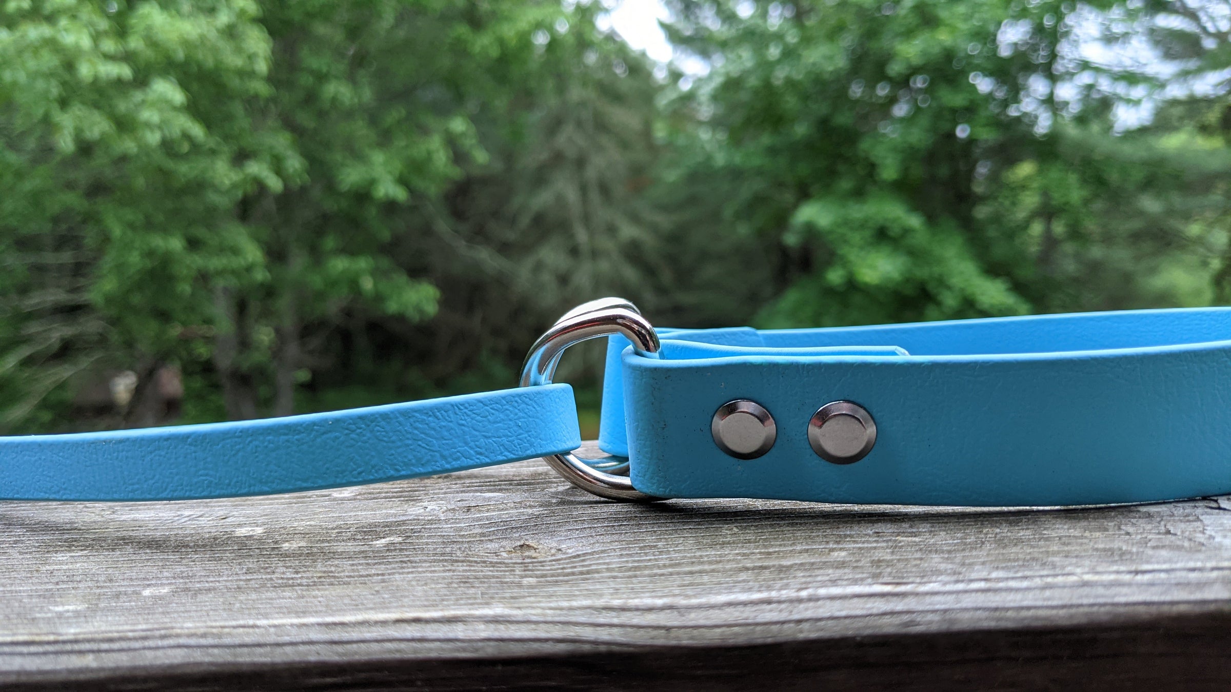 Biothane Martingale Leash | Renegade Rope Leads & Collars